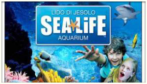 Sealife